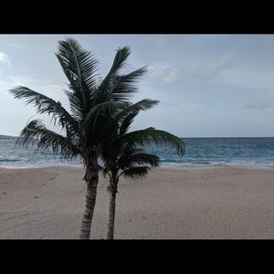 Meet your Posher, Tamara